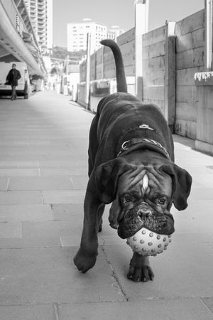 Play With Me