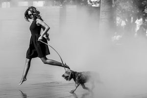 Joy of Freedom