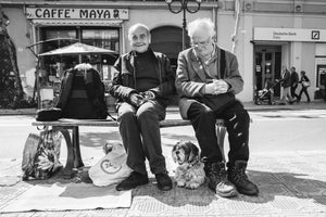 Old Friends