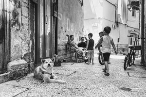 Backstreets of Bari
