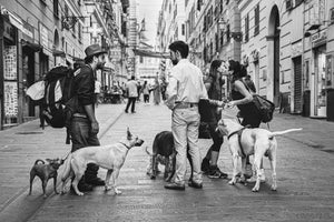 An Italian Gathering