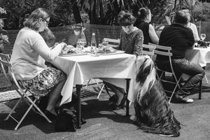 Lunch in Monaco