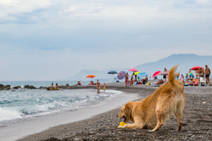 Summer on the Mediterranean