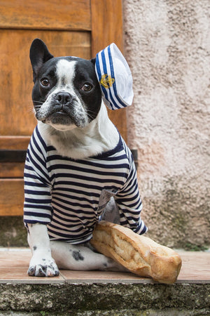 The French Sailor Boy